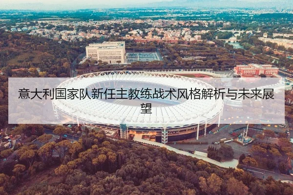 意大利国家队新任主教练战术风格解析与未来展望